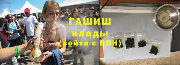 индика Беломорск