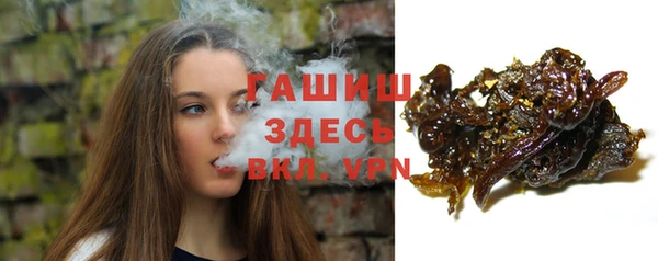 индика Беломорск