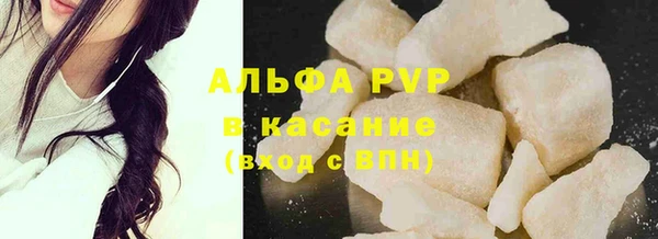 индика Беломорск