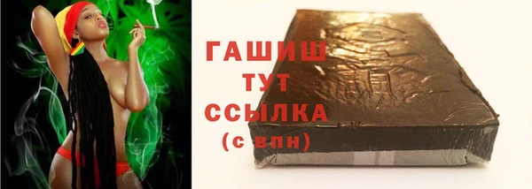 индика Беломорск
