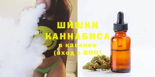 индика Беломорск