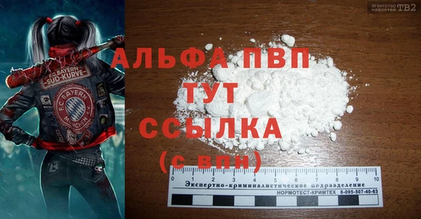 спиды Белокуриха