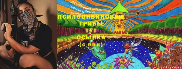 герыч Няндома