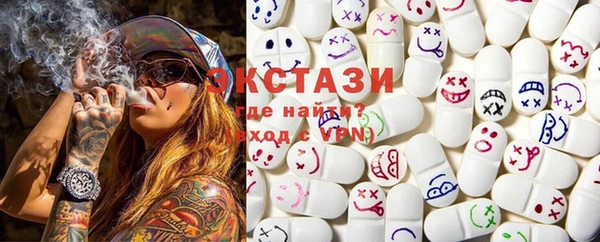 индика Беломорск