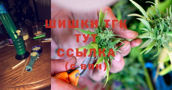 индика Беломорск