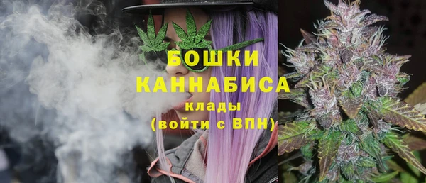 дурь Белоозёрский