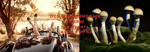 спиды Белокуриха